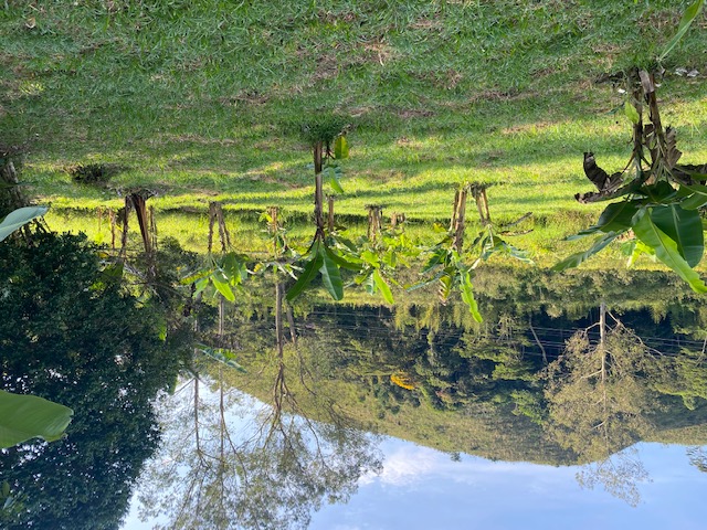 Ephemeral Brazil charity image